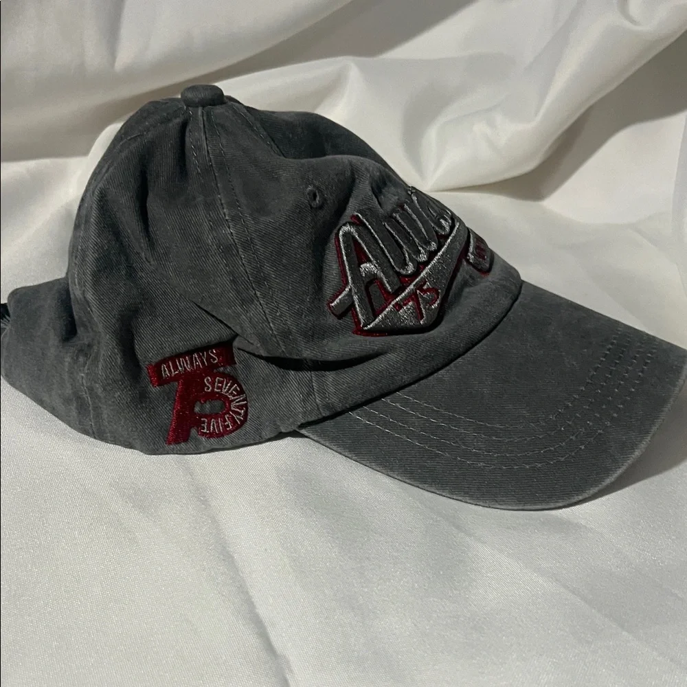 Gray and Red Embroidered Cap‎